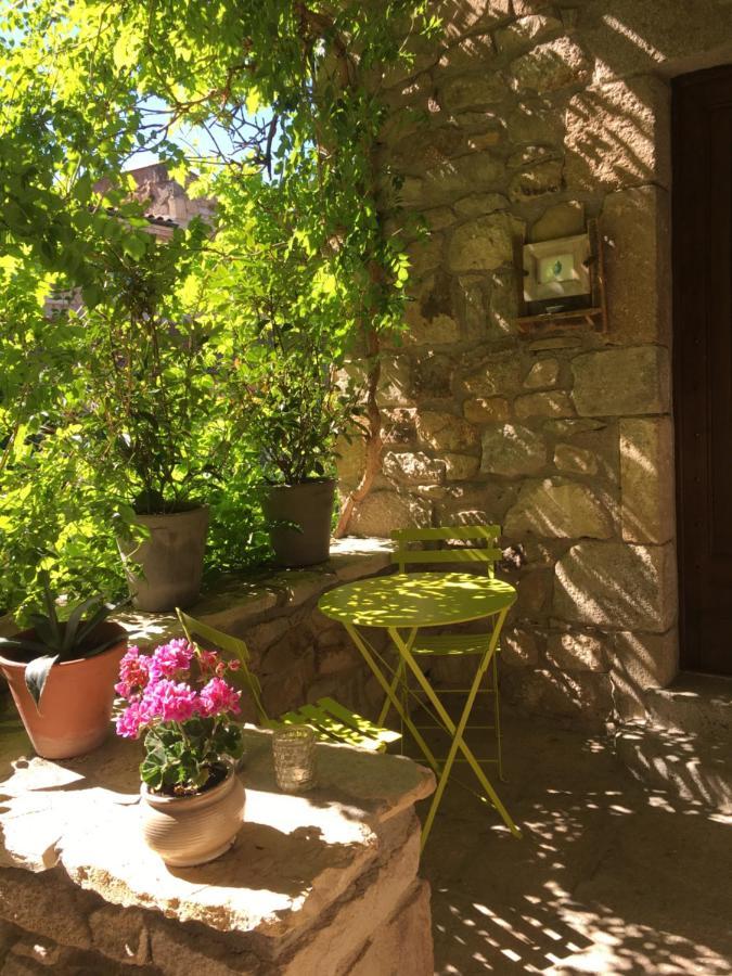La Charmeraie Montpeyroux  Exterior foto